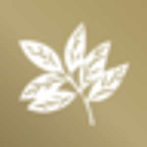 The Robson Companies, INC. - Logo