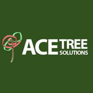 Ace Tree Solutions