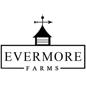 The Evermore - Logo