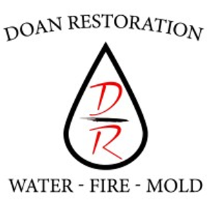 Doan Restoration of Michigan - Logo