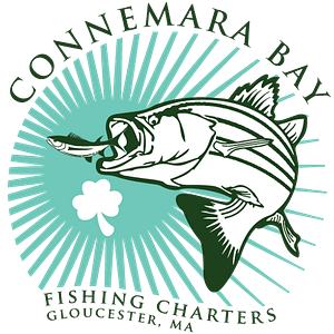 Connemara Bay Fishing Charters