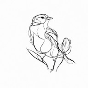 Grace & Sparrow Salon - Logo