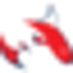 RedFin Cruises - Logo