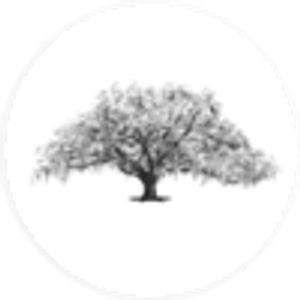 Coastal Signature Homes - Logo