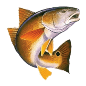Southern Fishing Guide Service