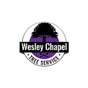Wesley Chapel Tree Service - Logo