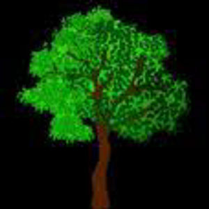 AAAA+ Phillips Tree Service, Gadsden, Alabama