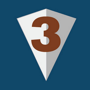 3 Guys Construction
