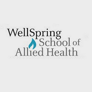 Wellspring School of Allied Health Student Massage Clinic - Logo