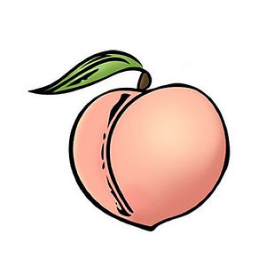 Peachy Nail Spot - Logo