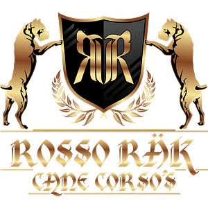 Rosso Rak Cane Corso