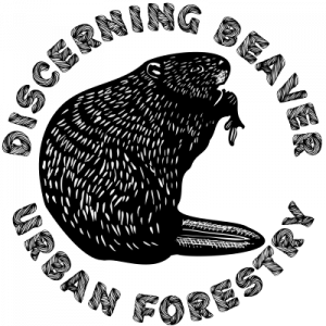 Discerning Beaver Urban Forestry - Logo