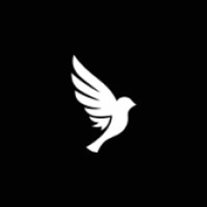 Sparrow Health & Performance - Logo