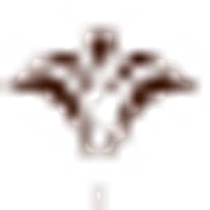 Marc Dauer, M.D. - Logo