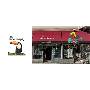 The Animal Company
