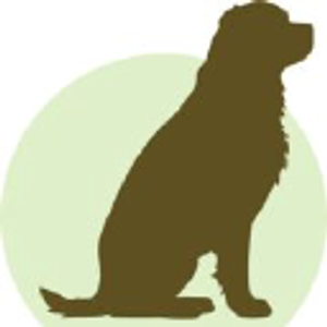 NoogaSitters, LLC