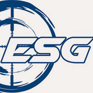 Electronic Security Group, Inc. - Logo