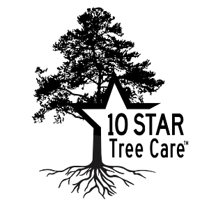 10 Star Tree Care