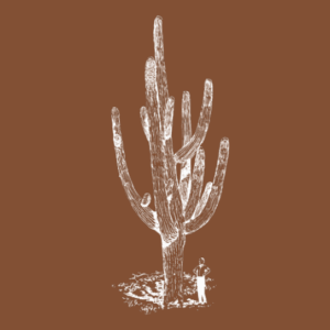 Lifted Salon and Spa - Logo