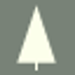 Evergreen Skilled Services