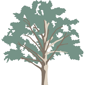 Woodland Plantation