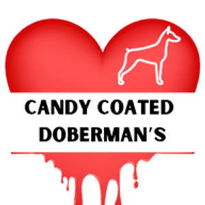 Candy Coated Doberman's