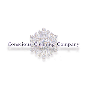 Conscious Cleaning Company