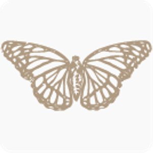 Felise Photography - Logo