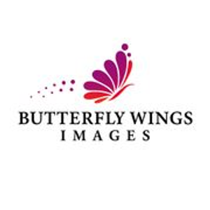 Butterfly Wings Images - Logo