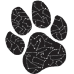 EagleVet - Logo