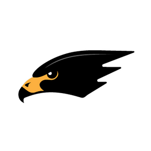 Blackhawk Aerospace - Logo
