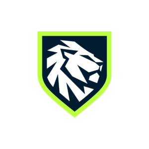 Rise Service Company - Logo