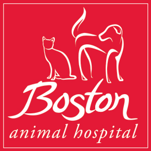 Boston Animal Hospital - Logo