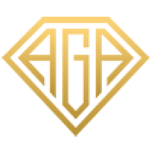 AGA Limousine Service