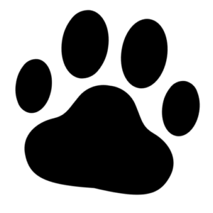 DR. SHEEHAN - Logo