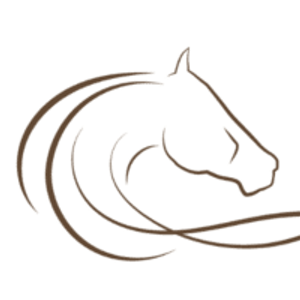 Advanced Hearing Services - Logo