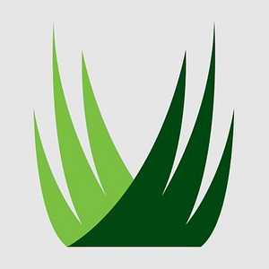 SYNLawn