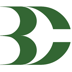 Bold Concepts Inc - Logo