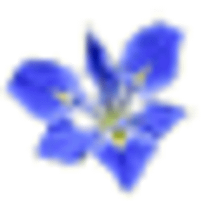 Baum Gardens - Logo