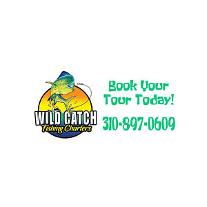 Wild Catch Fishing Charters, LLC - Logo