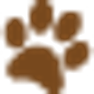 Poquita Paws Rescue - Logo