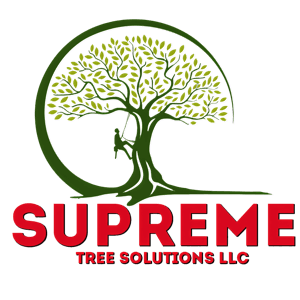 Supreme Tree Solutions