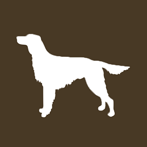 Shaughnessy's Irish Pub - Logo