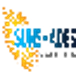 Sunshades Window Tinting Inc - Logo