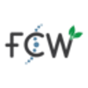Foundation Chiropractic and Wellness