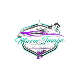 Mirror Image Detailing Pros - Logo