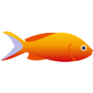 Drifter Charters