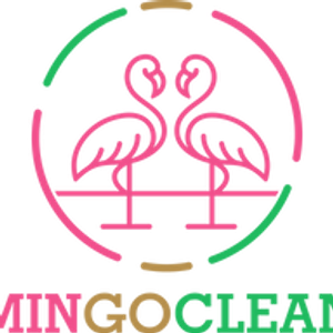 MingoClean