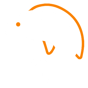 Reel Escapes Fishing Charters - Logo