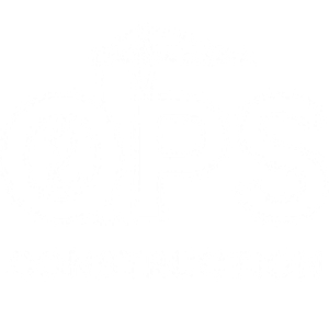 Quantum Pulse Synergy - Logo